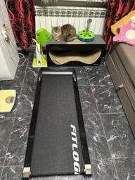 Беговая дорожка FitLogic T102E фото от покупателей 10