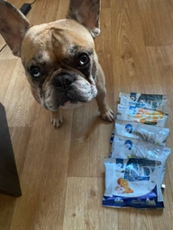 Фармина сухой корм для собак N&D GRAIN FREE OCEAN COD, PUMPKIN & ORANGE ADULT MINI с треской, тыквой и апельсином, 2,5 кг фото от покупателей 1