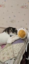 Мягкая Игрушки Гусь Обнимусь Подушка Средняя Плюшевая Антистрес Белый 40 см. 9010/40