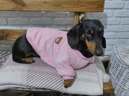 В'язаний махровий светр для собак Pet Style "Ведмедик" Блакитний XS