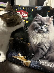 Адвент календарь лакомства для кошек Trixie PREMIO 30х34х3.5 см (211 г) (4047974092644) фото от покупателей 5