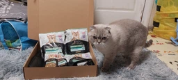 Сухой корм Purina Pro Plan Sterilised с кроликом для стерилизованных кошек и кастрированных котов 1,5 кг фото от покупателей 5