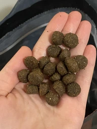 Корм сухий Savory Medium Breed Rich in Fresh Turkey та Lamb для дорослих собак середніх порід від 10 до 25 кг зі свіжим ягням 12кг фото від покупців 9