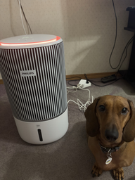 Климатический комплекс PureProtect Серия 3400 PHILIPS AC3420/10 фото от покупателей 11
