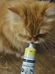 Фитопаста AnimAll VetLine для выведения шерсти для котов 100 г (4820150206642) фото от покупателей 10