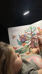Рождество в Большом дереве (Книга с окошками)