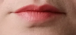 Помада для губ з аргановим маслом Paese Lipstick Argan Oil 13 (4 г) (670455-1005135-2)