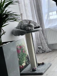 Дряпка для котів Lucky Pet будинок "Верховина плюс" (хутро,бежевий) - 36х36х54 см