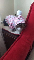 Новогоднее худи для котов и кошек Pet Style "Снежинка" Красное S фото от покупателей 1