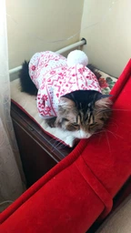 Новогоднее худи для котов и кошек Pet Style "Снежинка" Красное S