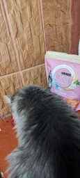 Сухий корм Purina One Junior для кошенят з куркою 450 г. (8445290071972)