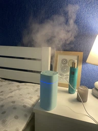 Зволожувач повітря Zhencai Humidifier SD08 з подвійною насадкою зелений