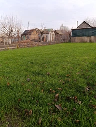 Семена Green Home газонная трава Лилипут 5 кг фото от покупателей 1