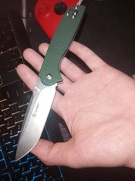 Ніж складаний Ganzo G6803 зелений