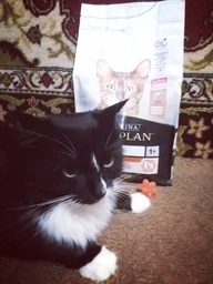 Сухой корм для котов Purina Pro Plan Adult 1+ Vital Functions с лососем 1.5 кг (НФ-00000363) фото от покупателей 11