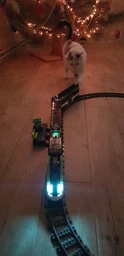 Конструктор LEGO City Trains Пасажирський потяг-експрес 764 деталі (60337)