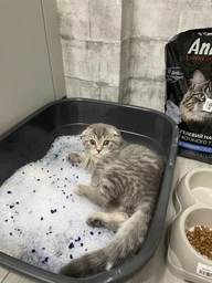 Наповнювач для котячого туалету силикагелевий AnimAll Blue 3.8 Л упаковка 2 ШТ