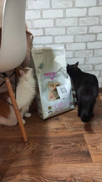 Сухий корм BonaCibo Cat Adult Light & Sterilized для стерилізованих кішок, 5 кг фото від покупців 2