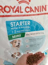 Сухой корм для собак мелких пород Royal Canin Mini Starter для беременности и лактации 1 кг