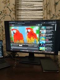 Монитор 27" MSI Professional PRO MP275Q -- 2K QHD / IPS / 100Hz / 8-Bit + FRC / sRGB 100% / Anti-Flicker / Less Blue Light / Speaker 2W