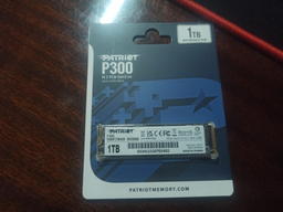 Твердотельный накопитель SSD M.2 Patriot P300 1TB NVMe 2280 PCIe 3.0x4 3D NAND TLC (P300P1TBM28) фото от покупателей 13