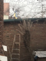 Акумуляторна пила ланцюгова електрична Chain SAW 6 дюймів, міні пила для обрізання дерев та розпилу дров 2 АКБ синій фото від покупців 7
