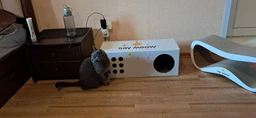Когтеточка-лежанка для кошек Say Meow Grace гофрокартон, 67х27х24 см (8040190103008) фото от покупателей 18