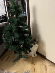 Штучна Ялинка Royal Tree RT-1-1 Казка 100 см зелена фото от покупателей 18