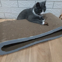 Кігтеточка для кішок картонна CLAW-A2сс 65x14x25+Подарунок іграшка для кота миша фото від покупців 1