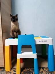Комплект детский стол со стульчиком POPPET Колор Пинк 5 в 1 + подушка на стул и набор фломастеров (PP-002P-G) фото от покупателей 9