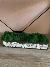 Моссариум со стабилизированым мхом MiNature Moss натурально зелёный 30 см фото от покупателей 5