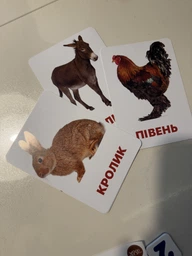 Карточки Домана ''Домашние животные'' на украинском языке, в наборе 15 карточек фото от покупателей 3