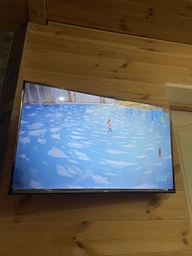Телевизор TCL 32S5400AF фото от покупателей 4