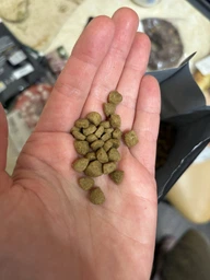 Сухой корм для котов Savory Adult Cat Steril Fresh 8 кг ягненок и курица фото от покупателей 12