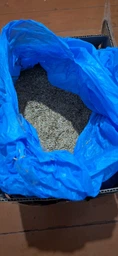 Трава газонна Тіньова 1 кг фото від покупців 2