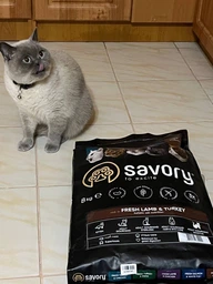 Корм для кошек с чувствительным пищеварением Savory Gourmand Fresh Lamb & Turkey 2 кг, с ягненком и индейкой фото от покупателей 1