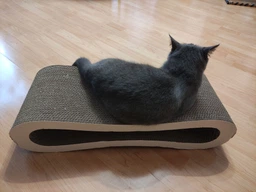 Когтеточка для кошек из картона CLAW-A2 Зелёная 65x14x25 фото от покупателей 1