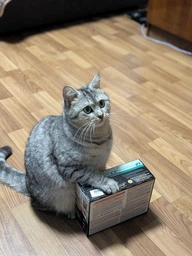 Влажный корм для кошек Purina Pro Plan Sterilised кусочки в соусе с говядиной 5 х 85 г, с курицей 5 х 85 г (Мультипак) фото от покупателей 1