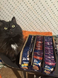 Влажный корм для кошек Felix (с индейкой в желе) ТМ "Purina One" 85 г (99381)