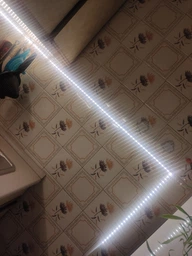 Светодиодная LED Strips лента 2835 5 м белый цвет для украшения кухни, комнаты, гардеробной, витрин фото от покупателей 12