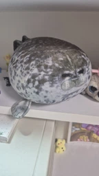 Плюшевая мягкая игрушка Тюлень Seal (20 см) тренды TikTok декор для детской комнаты подарок на день рождения фото от покупателей 3