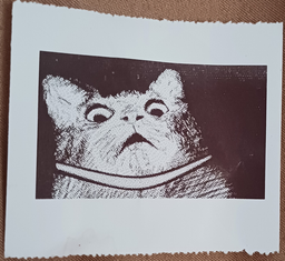 Мини принтер для детей портативный детский термопринтер принтеры printer мини принтер беспроводной блютуз с набором термобумаги в комплекте для печати фотографий 15в1 термопрринтеры фото от покупателей 2