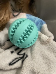 Игрушка для собак Trixie Мяч Denta Fun 7 см, резина фото от покупателей 1