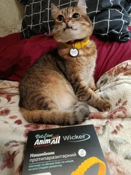 AnimAll VetLine Wicker - Нашийник протипаразитарний Вікер для собак і котів від бліх і кліщів, 35 см жовтий фото від покупців 7