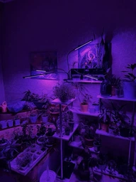 Фитолампа для роста растений LED фито лампа ультрафиолетовая на прищепке для выращивания комнатных цветов рассады орхидей на 4 лампы