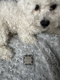 Процессор AMD Ryzen 9 7950X3D (100-000000908)