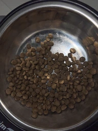 Корм сухой Savory Adult Cat Gourmand Fresh Salmon and White Fish для длинношерстных котов со свежим.лососом и белой.рыбой 8 кг фото от покупателей 11