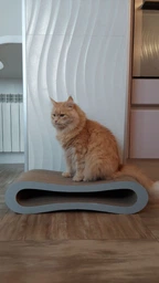 Кігтеточка для кішок картонна CLAW-A2сс 65x14x25+Подарунок іграшка для кота миша