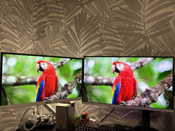 Монитор 27" MSI MAG 274QRFW -- Rapid IPS / 2K QHD / 180 Hz / 1ms / DisplayHDR 400 / 8-Bit + FRC / Adaptive-Sync / G-Sync Compatible / AMD FreeSync фото от покупателей 4