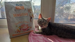 Корм сухой Brit Care Cat Grain Free Sensitive HDigestion Delicate Taste для котов с чувствительным пищеварением индейка и лосось фото от покупателей 10